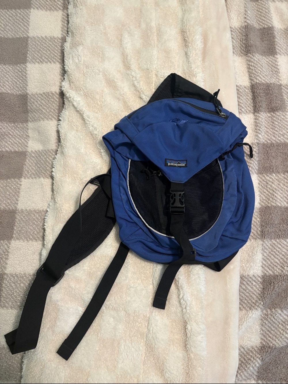 Patagonia Blue and Black Hiking Backpack